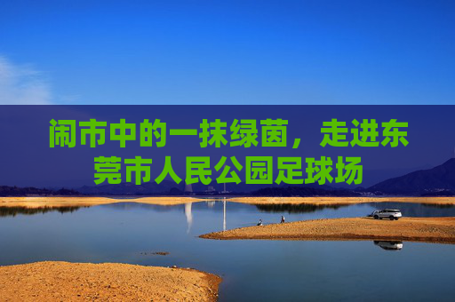 闹市中的一抹绿茵，走进东莞市人民公园足球场