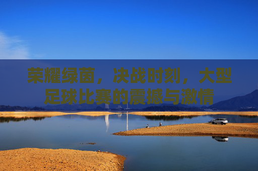荣耀绿茵，决战时刻，大型足球比赛的震撼与激情