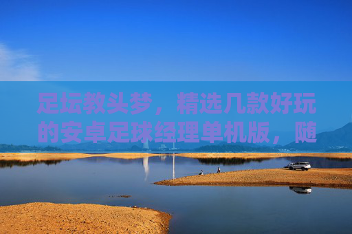 足坛教头梦，精选几款好玩的安卓足球经理单机版，随时随地掌控比赛