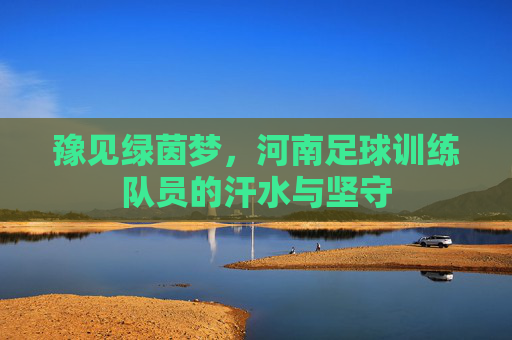 豫见绿茵梦，河南足球训练队员的汗水与坚守
