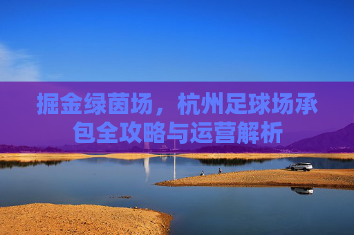 掘金绿茵场，杭州足球场承包全攻略与运营解析