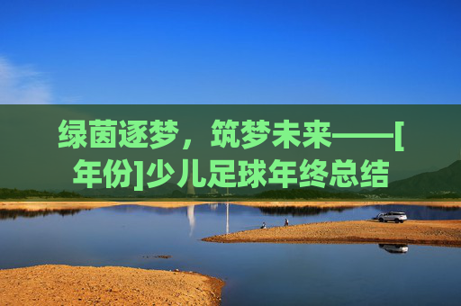 绿茵逐梦，筑梦未来——[年份]少儿足球年终总结
