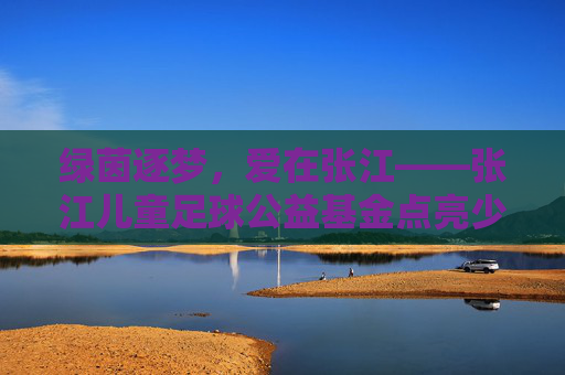 绿茵逐梦，爱在张江——张江儿童足球公益基金点亮少年足球梦
