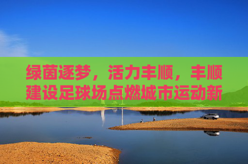 绿茵逐梦，活力丰顺，丰顺建设足球场点燃城市运动新引擎