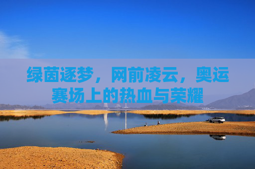 绿茵逐梦，网前凌云，奥运赛场上的热血与荣耀