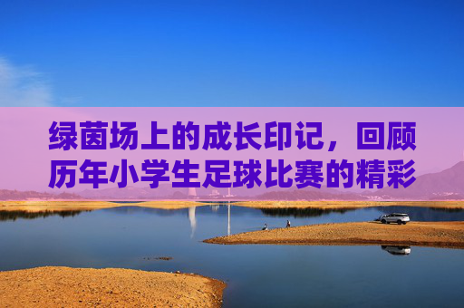 绿茵场上的成长印记，回顾历年小学生足球比赛的精彩瞬间与精神传承