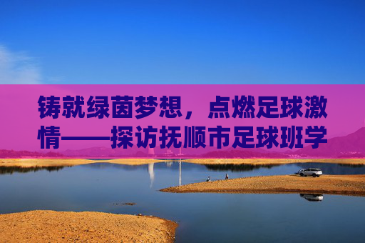 铸就绿茵梦想,点燃足球激情——探访抚顺市足球班学校
