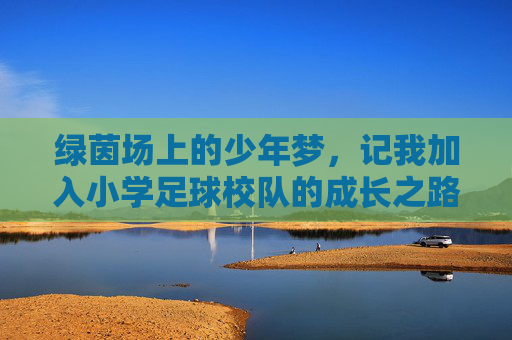 绿茵场上的少年梦，记我加入小学足球校队的成长之路