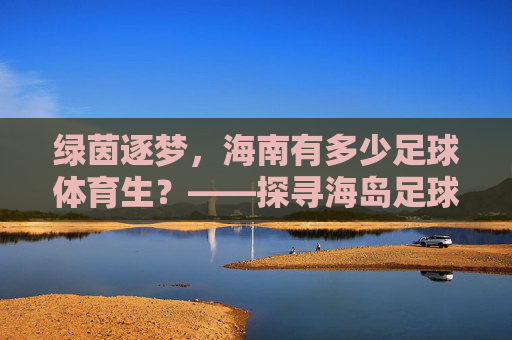 绿茵逐梦,海南有多少足球体育生?——探寻海岛足球的青训人口与未来