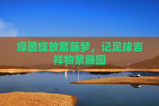 绿茵绽放紫藤梦，记足球吉祥物紫藤园