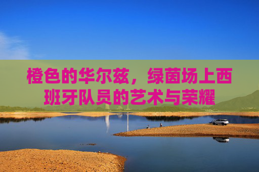 橙色的华尔兹，绿茵场上西班牙队员的艺术与荣耀