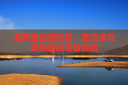 名字里的足球梦,高洪波与高洪坡的奇妙共鸣