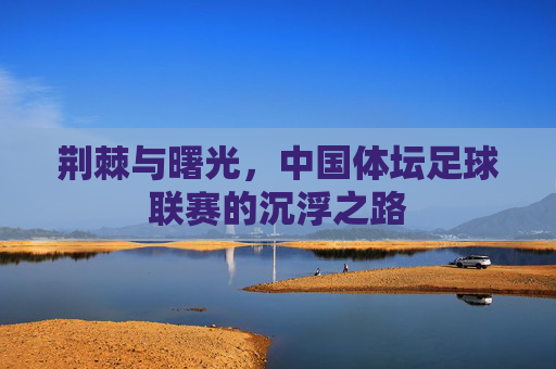 荆棘与曙光,中国体坛足球联赛的沉浮之路