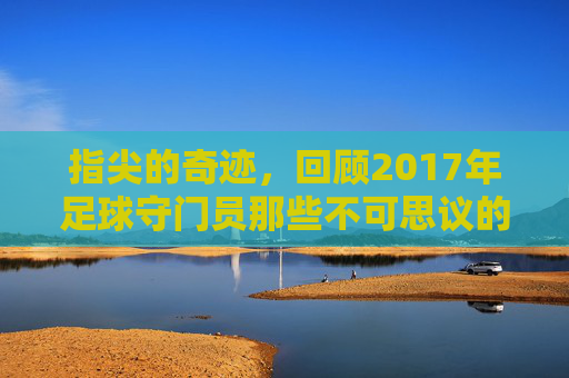 指尖的奇迹,回顾2017年足球守门员那些不可思议的扑救