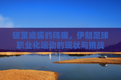 破茧成蝶的阵痛,伊朗足球职业化运动的现状与挑战