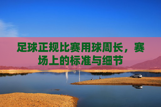 足球正规比赛用球周长,赛场上的标准与细节
