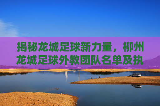 揭秘龙城足球新力量,柳州龙城足球外教团队名单及执教理念