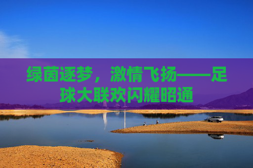 绿茵逐梦,激情飞扬——足球大联欢闪耀昭通