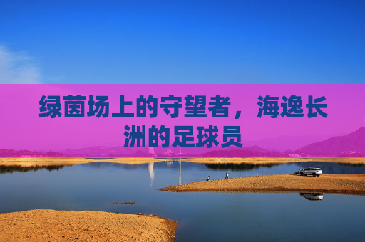 绿茵场上的守望者，海逸长洲的足球员