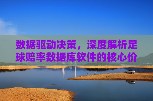 数据驱动决策，深度解析足球赔率数据库软件的核心价值