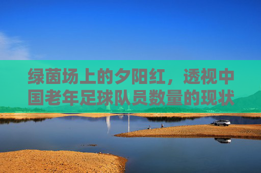 绿茵场上的夕阳红,透视中国老年足球队员数量的现状与趋势
