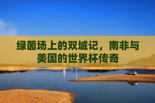 绿茵场上的双城记,南非与美国的世界杯传奇