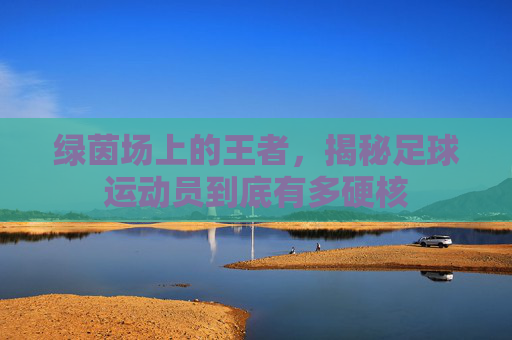 绿茵场上的王者,揭秘足球运动员到底有多硬核
