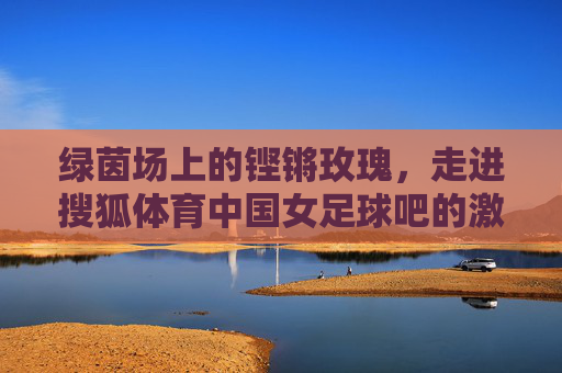 绿茵场上的铿锵玫瑰，走进搜狐体育中国女足球吧的激情与守望