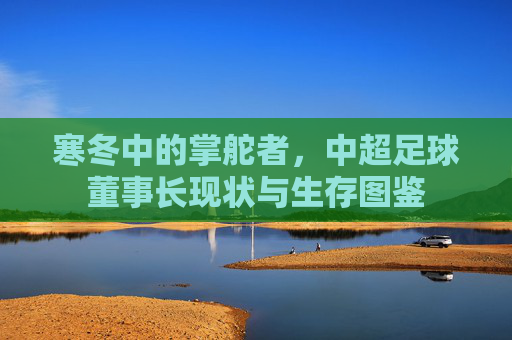 寒冬中的掌舵者,中超足球董事长现状与生存图鉴