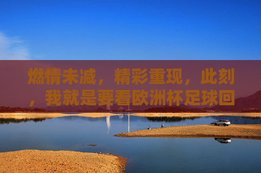 燃情未减，精彩重现，此刻，我就是要看欧洲杯足球回放！
