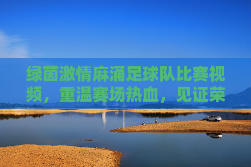 绿茵激情麻涌足球队比赛视频,重温赛场热血,见证荣耀时刻