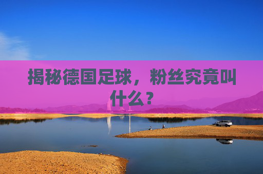 揭秘德国足球，粉丝究竟叫什么？