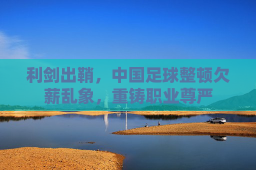利剑出鞘,中国足球整顿欠薪乱象,重铸职业尊严