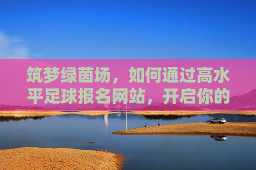 筑梦绿茵场，如何通过高水平足球报名网站，开启你的职业足球生涯