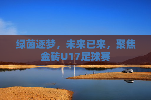 绿茵逐梦,未来已来,聚焦金砖U17足球赛