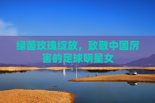 绿茵玫瑰绽放，致敬中国厉害的足球明星女
