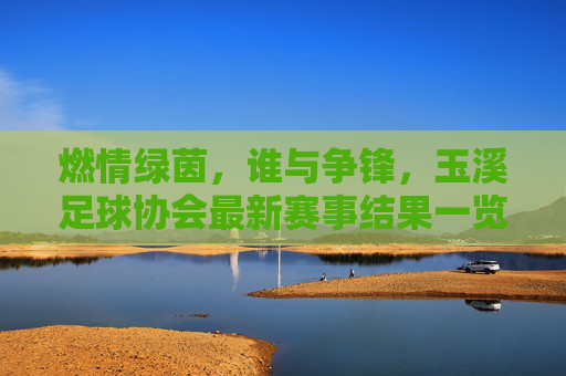 燃情绿茵,谁与争锋,玉溪足球协会最新赛事结果一览