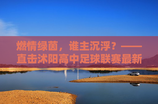 燃情绿茵,谁主沉浮?——直击沭阳高中足球联赛最新排名
