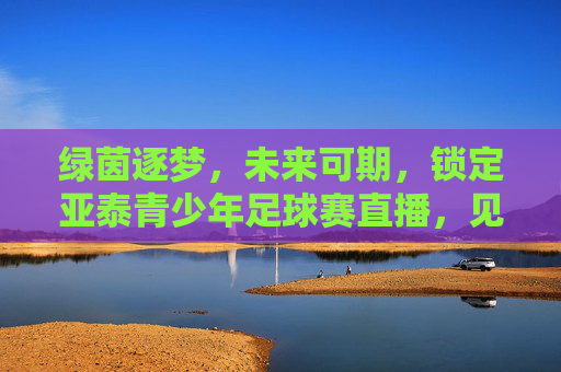 绿茵逐梦，未来可期，锁定亚泰青少年足球赛直播，见证中国足球新星的诞生