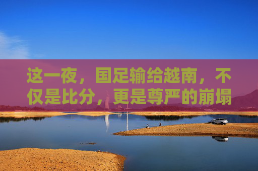 这一夜,国足输给越南,不仅是比分,更是尊严的崩塌