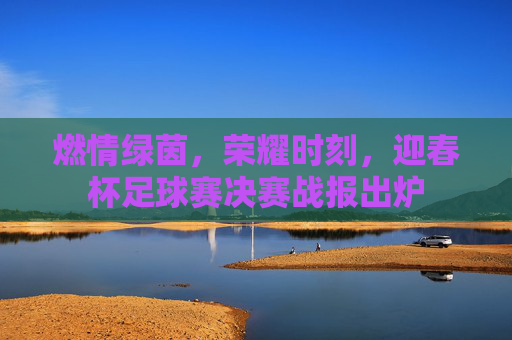 燃情绿茵，荣耀时刻，迎春杯足球赛决赛战报出炉