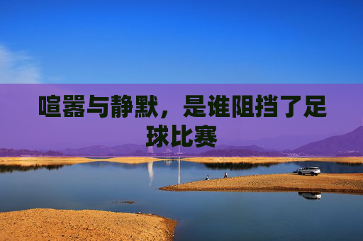 喧嚣与静默,是谁阻挡了足球比赛