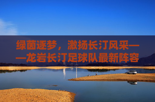 绿茵逐梦，激扬长汀风采——龙岩长汀足球队最新阵容名单重磅发布