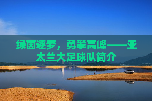 绿茵逐梦,勇攀高峰——亚太兰大足球队简介