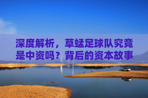 深度解析,草蜢足球队究竟是中资吗?背后的资本故事揭秘