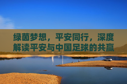 绿茵梦想,平安同行,深度解读平安与中国足球的共赢之路