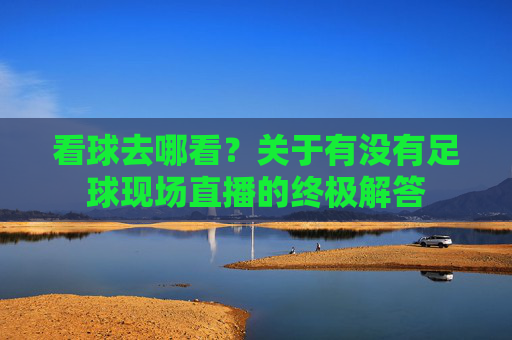 看球去哪看?关于有没有足球现场直播的终极解答