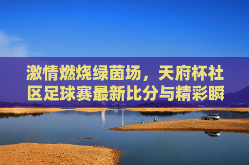 激情燃烧绿茵场,天府杯社区足球赛最新比分与精彩瞬间盘点