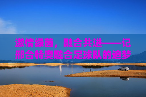 激情绿茵，融合共进——记邢台特奥融合足球队的追梦之路