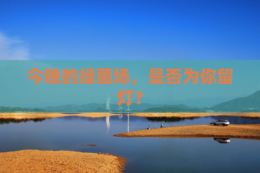 今晚的绿茵场,是否为你留灯?
